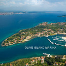 marine olive island